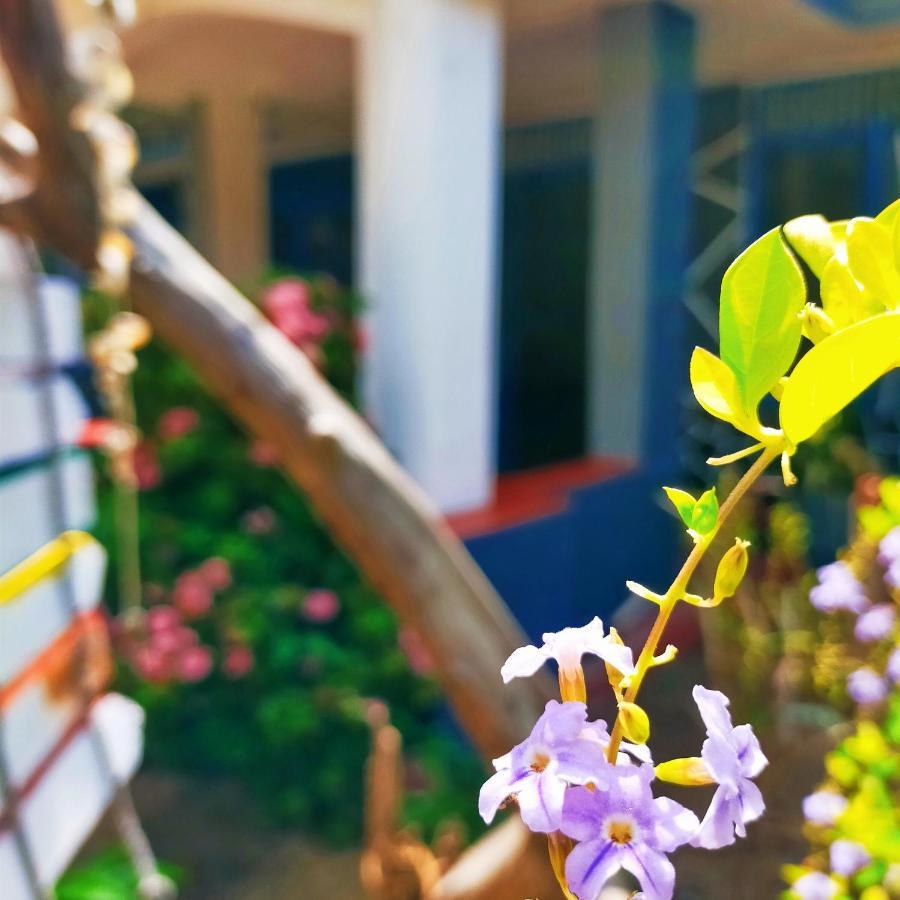 Hotel Eastwind Surf Camp Arugam Bay Esterno foto
