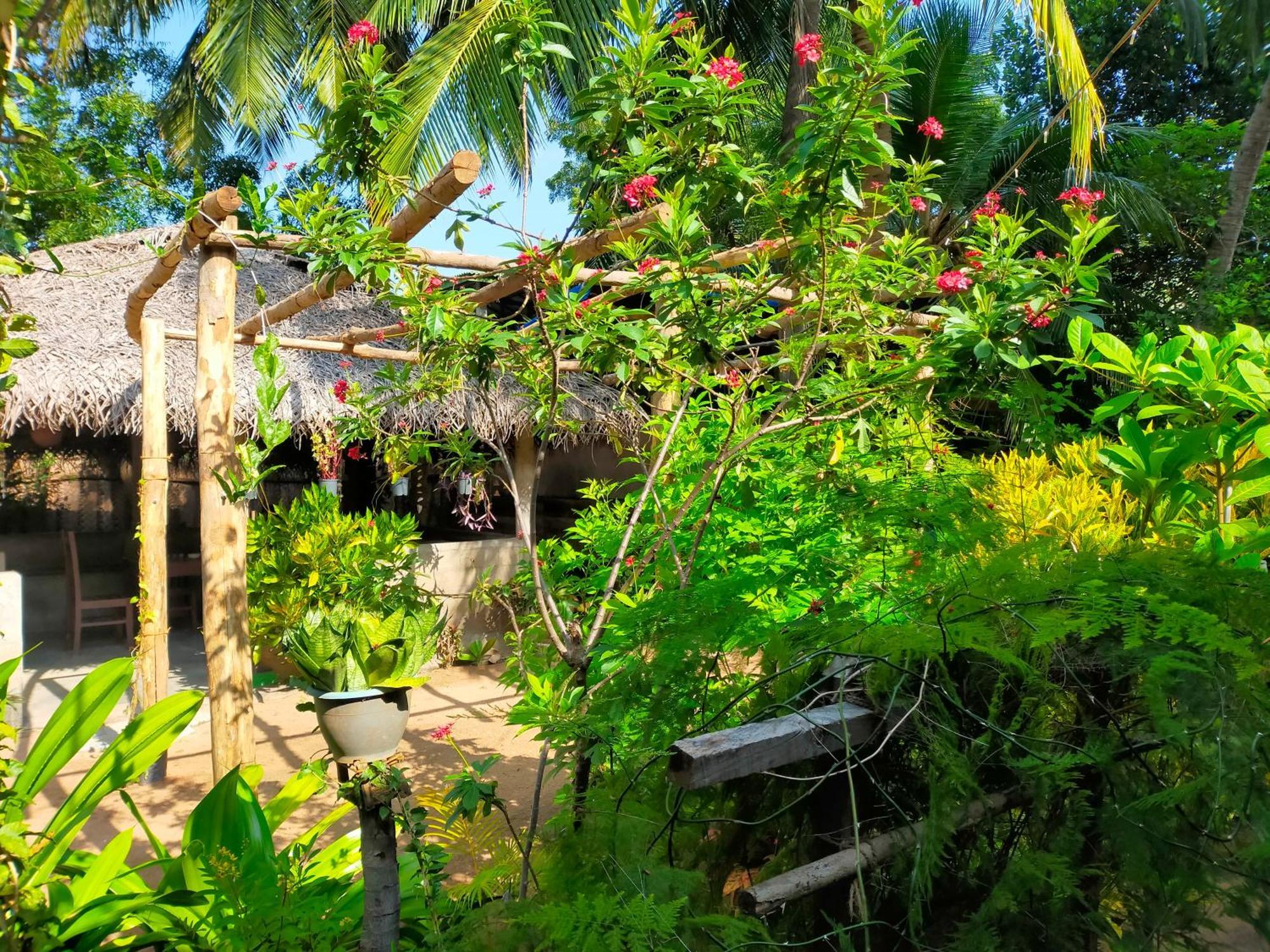 Hotel Eastwind Surf Camp Arugam Bay Esterno foto